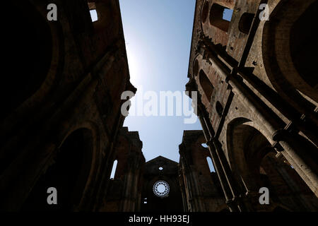 CHIUSDINO, Italien, 26. Juli 2016: Innenansicht der gotische Abtei von San Galgano am 26. Juli 2016 in Chiusdino, Siena, Toskana, Italien. Stockfoto