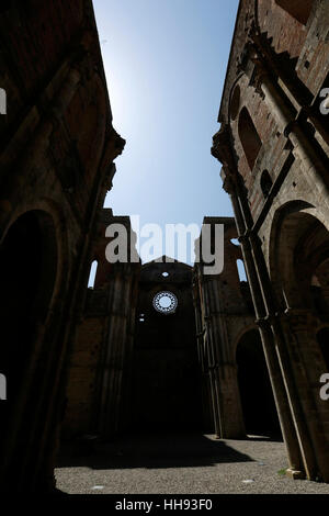 CHIUSDINO, Italien, 26. Juli 2016: Innenansicht der gotische Abtei von San Galgano am 26. Juli 2016 in Chiusdino, Siena, Toskana, Italien. Stockfoto