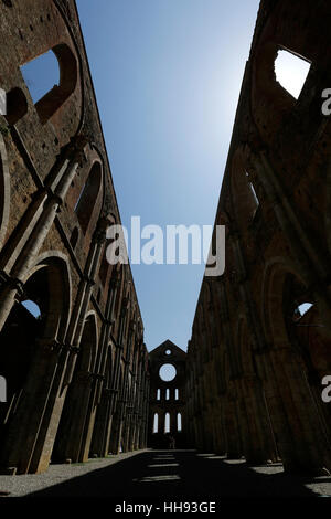 CHIUSDINO, Italien, 26. Juli 2016: Innenansicht der gotische Abtei von San Galgano am 26. Juli 2016 in Chiusdino, Siena, Toskana, Italien. Stockfoto