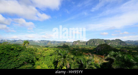 Valle de Vinales, Kuba, Provinz Pinar del Rio Stockfoto