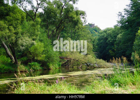 Hardegg: Nationalpark Thayatal; Thayatal mit Burgruine Neuhäusl, Waldviertel, Niederösterreich, Niederösterreich, Österreich Stockfoto