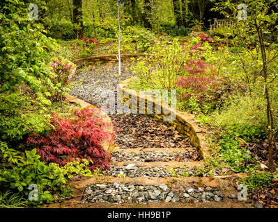 Schritte in einem kleinen Dell in einem grünen feuchten Wald Privatgarten in Herefordshire UK Stockfoto