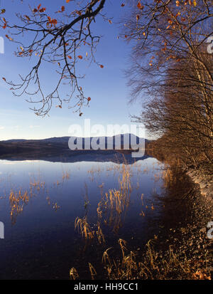 Friedliche Herbst Szene am See Venachar mit Ben Venue in Ansicht, Trossachs, Stirling-Region.Scotland Stockfoto