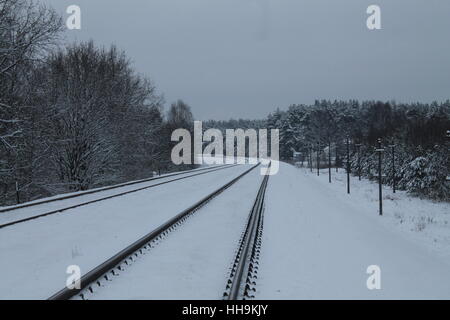 langes Stahlrohr Linien der Eisenbahn durch Winterwald versinken im Schnee kalten grauen Tag Stockfoto