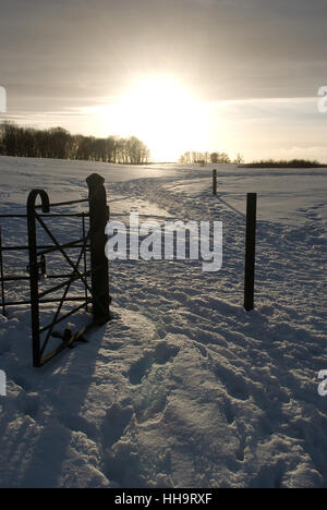 Schneebedeckte Landschaft, die durch ein kleines Tor zu einem glühenden Sonnenuntergang im Winter führt und mit Fußabdrücken im Schnee und in fernen Bäumen Stockfoto