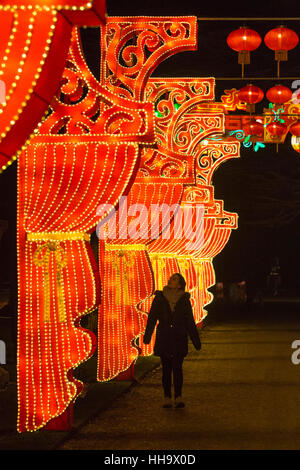 Die magische Laterne-Festival kehrt nach London zum zweiten Mal nach dem UK-Start in London im Jahr 2016. Das Festival ist Teil des UK große Feierlichkeiten von 2017 Chinese New Year, das Jahr des Hahnes. Das Thema für das Jahr 2017-Festival ist: Entdecken Sie The Silk Road. Besucher entdecken herrliche lebensgroßen und überdimensionalen Laterne Szenen, die darstellen und markieren Sie diese wichtige Route von Handel und Kultur aus Europa in die chinesische Vergangenheit. Das Festival läuft vom 19. Januar bis 26. Februar 2017. Stockfoto