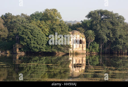 Ranthambore Nationalpark Stockfoto