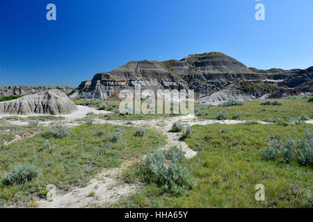 Die Badlands, Dinosaur Provincial Park, Alberta, Kanada Stockfoto