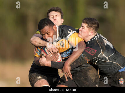 Sherborne RFC 1st XV vs. Marlborough RFC 1st XV Marlborough Player in Aktion in Angriff genommen. Stockfoto