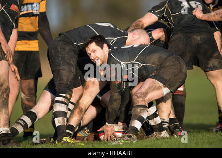 Sherborne RFC 1st XV Vs Marlborough RFC 1st XV Samstag, 14. Januar 2017 - Sherborne, Dorset, England. Stockfoto