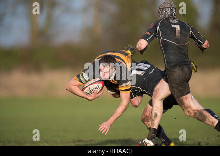 Sherborne RFC 1st XV vs. Marlborough RFC 1st XV Marlborough Player in Aktion in Angriff genommen. Stockfoto