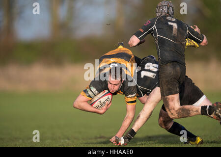 Sherborne RFC 1st XV vs. Marlborough RFC 1st XV Marlborough Player in Aktion in Angriff genommen. Stockfoto