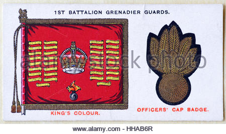 1. Bataillon Grenadier Guards regimental Standard und Kappe Abzeichen Stockfoto