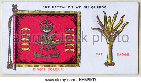 1. Bataillon Welsh Guards regimental Standard und Kappe Abzeichen Stockfoto