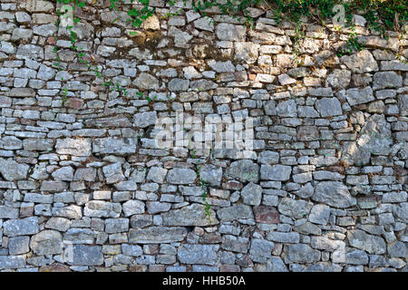 Moos wächst auf Steinmauer, Textur der Steinmauer bedeckt grünes Moos Stockfoto