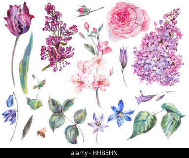 Frühling Blumen Set Vintage Aquarell rosa Rosen, Blätter, bloo Stockfoto