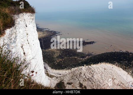 Ansicht, bei Ebbe von der Klippe zwischen alten Treppen Bay und St. Margarets Bay auf der Saxon Shore Weg, Kent Stockfoto