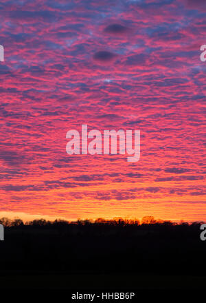 Ein atemberaubender Sonnenuntergang über einer Landschaft von East Anglian, vom Dorf Pulham Market aus gesehen, Norfolk, England Stockfoto