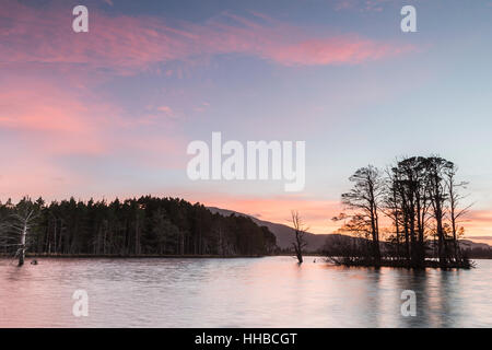 Loch Mallachie im Cairngorms National Park. Stockfoto