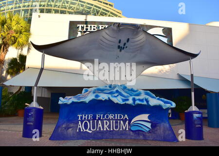 Tampa, Florida - USA - 7. Januar 2016: Florida Aquarium Tampa Stockfoto