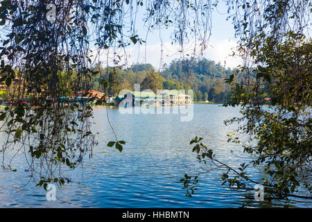 Boot und Ruderclub Bootshaus gesehen durch wispy Äste auf Kodaikanal Lake in Tamil Nadu Stockfoto