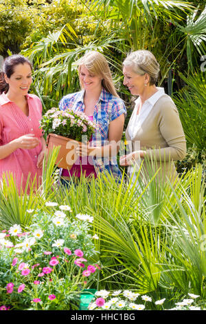 Frau, Mensch, Menschen, Menschen, Folk, Personen, Mensch, Mensch, lachen, Stockfoto