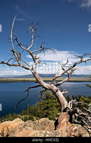 WY02061-00... WYOMING - Jenny Lake und der große Park Land von Jackson Hole vom Inspiration Point in Grand Teton Nationalpark. Stockfoto