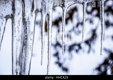 Eiszapfen hängen von der Decke im Winter Stockfoto