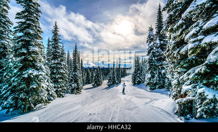 Skifahren nach Sonnenuntergang in einer Winterlandschaft in der Hochalpinen auf den Pisten von Sun Peaks in der Shuswap Hochland des zentralen British Columbia Kanada Stockfoto