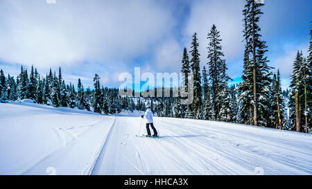 Frau Skifahren in einer Winterlandschaft auf den Ski-Hügeln von Sun Peaks in der Shuswap-Hochland von Zentral-British Columbia, Kanada Stockfoto