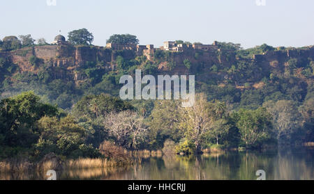 Denkmal, Baum, Urwald, Indien, Dschungel, Wasserlauf, Ruine, Stil Stockfoto