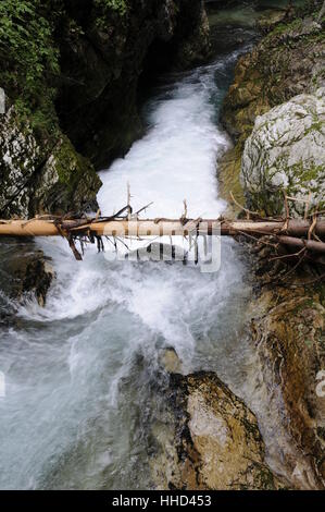 Stream, Schlucht, Klamm, Slowenien, Stamm, Tal, Schlucht, Torrent, Wasserfall, Stockfoto