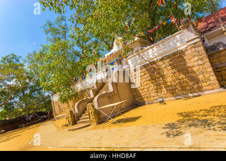 Nach Süden ausgerichtete zusammengesetzte Stufen zum Heiligen Jaya Sri Maha Bodhi Feigenbaum der Aufklärung vor einem blauen Himmel in Anuradhapura Stockfoto