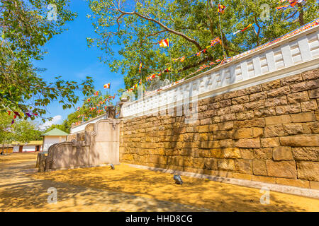 West-Schritte von Jaya Sri Maha Bodhi Baum zusammengesetzte und Heilige Feigenbaum oben im antiken Anuradhapura Capitol in Sri Lanka Stockfoto