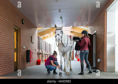 Stallgasse. Great Britain Stockfoto