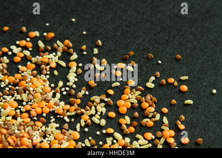 Vier verschiedene Grützen: Linsen, Quinoa, Buchweizen, Bulgur auf schwarzem Hintergrund Stockfoto