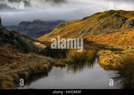 Langdale Pikes aus Loughrigg fiel Stockfoto