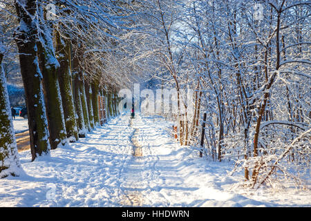 Gasse in kalten sonnigen Wintertag. Stockfoto