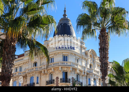 Carlton Hotel und Palmen Bäume, La Croisette, Cannes, Côte d ' Azur, Cote d ' Azur, Alpes Maritimes, Provence, Frankreich Stockfoto