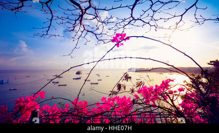 Blick auf das Meer und die schönen Blumen Stockfoto