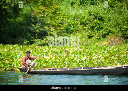 Ein Fischer auf Kaptai See, Chittagong Hill Tracts, Bangladesch Stockfoto