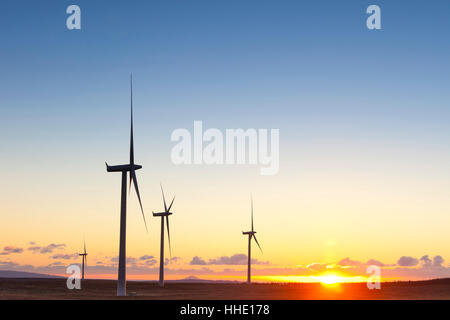 Windenergieanlagen Sie bei Sonnenuntergang, Whitelee Wind Farm, Scotland, UK Stockfoto