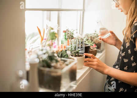 Mädchen tendenziell Pflanzen auf einer sonnigen Fensterbank. Stockfoto