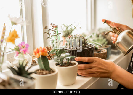 Mädchen tendenziell Pflanzen auf einer sonnigen Fensterbank. Stockfoto