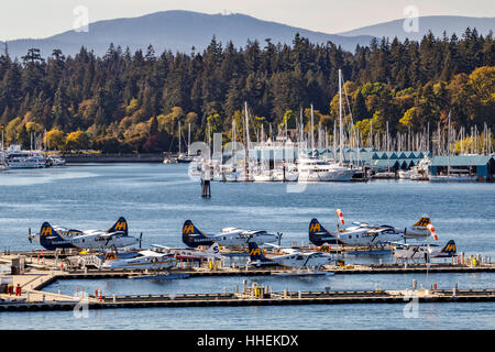 Harbour Air Wasserflugzeuge festgemacht an der Vancouver Harbour Flight Center, British Columbia, Canada. Stockfoto