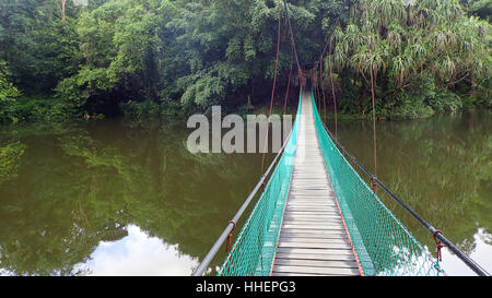 Sandakan Rainforest Discovery Centre In Sepilok, Sabah, der malaysischen Teil von Borneo. Am frühen Morgen. Hängebrücke über den See und den Regenwald Stockfoto