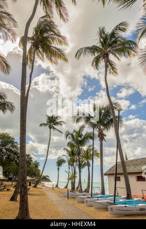 Bootshaus am Strand-Guadeloupe-Antillen Stockfoto