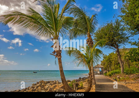 Strand-Hütte am Strand Guadeloupe West Indies Stockfoto