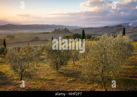 Sonnenaufgang über dem Belvedere und die Landschaft des Val d ' Orcia in der Nähe von San Quirico d ' Orcia, Toskana, Italien Stockfoto