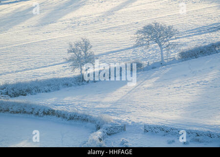 Schnee bedeckt Ackerland Felder, Hecken, Bäume und ein Tor in Danby Dale in North York Moors National Park anzeigen Stockfoto